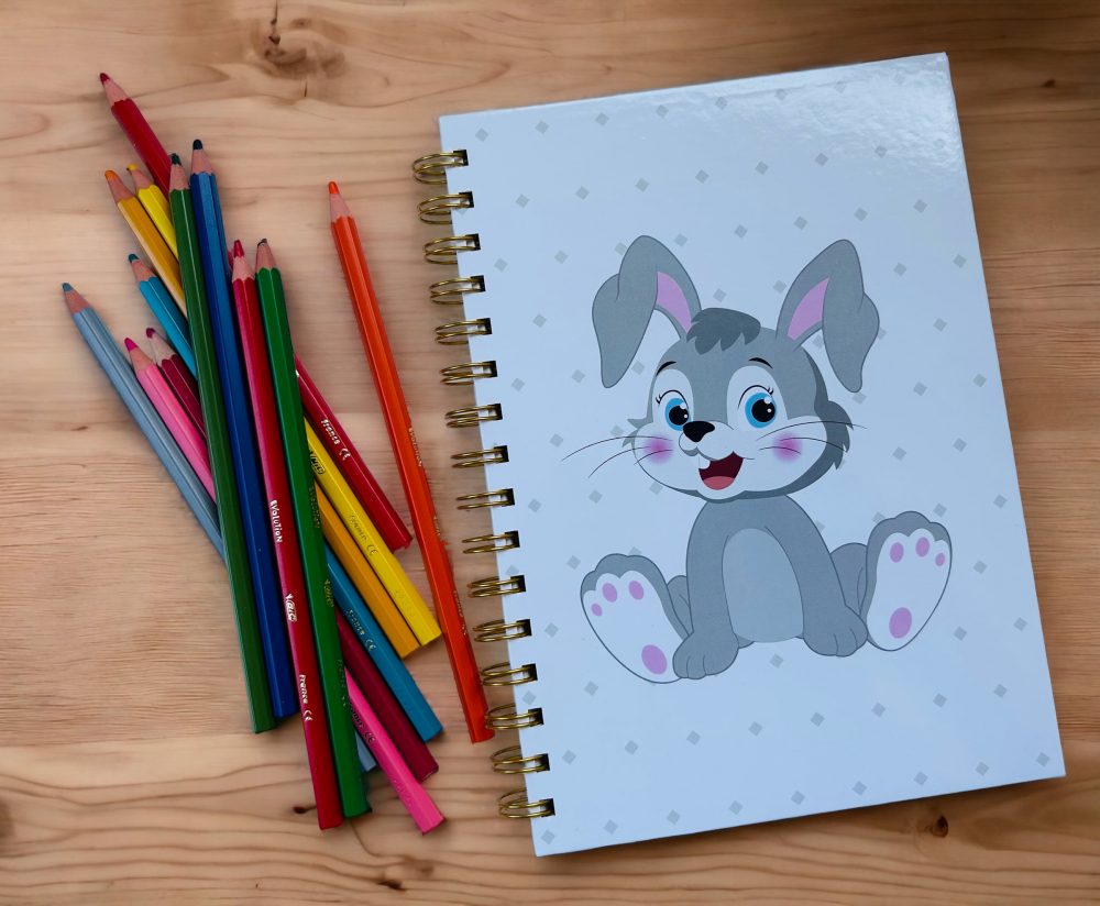 carnet lapin