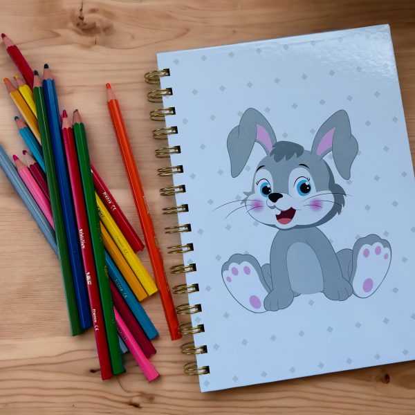carnet lapin