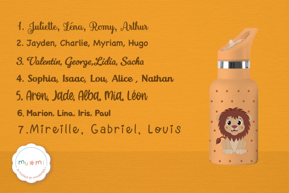 Gourde Lion personnalisation