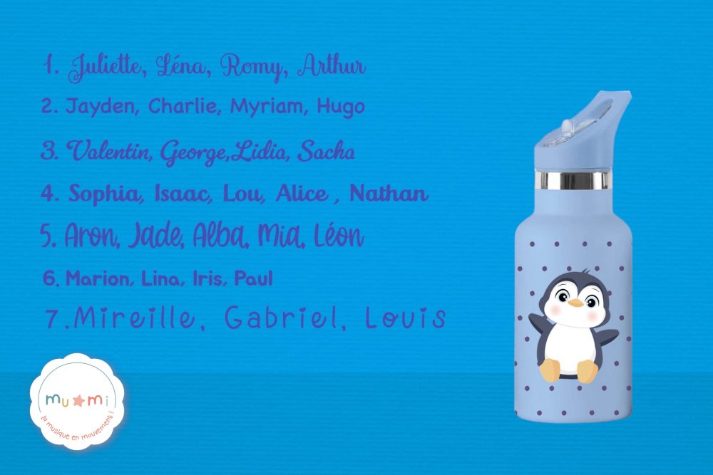 Gourde pingouin personnalisation